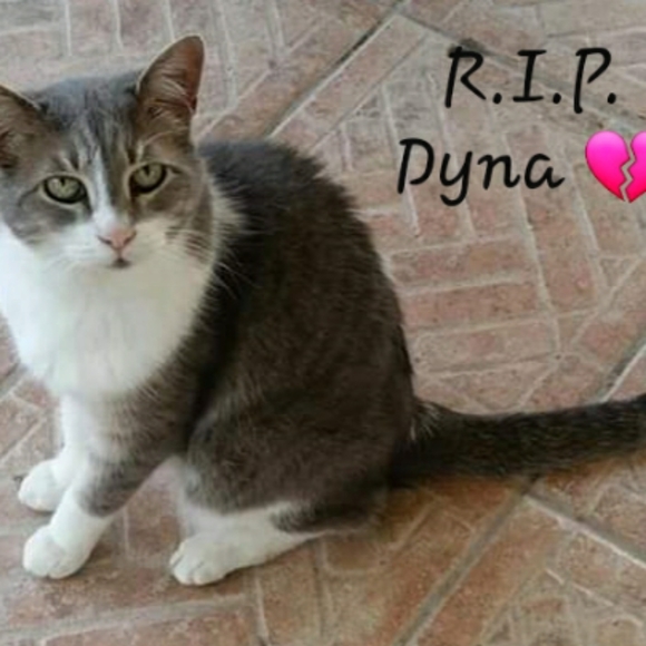 Meet your Posh Ambassador, Joy - Picture 7 of 9